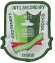 RISE Enugu Logo